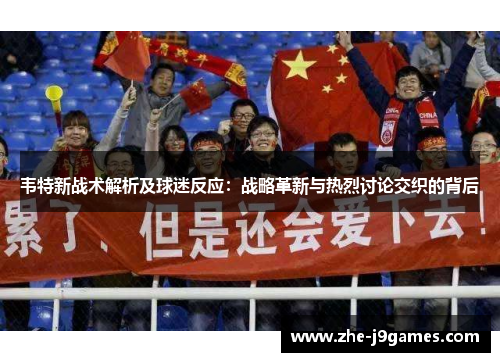 韦特新战术解析及球迷反应：战略革新与热烈讨论交织的背后